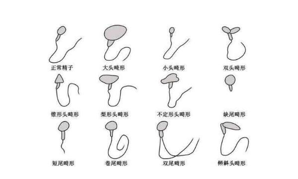 做供卵试管婴儿不成功要收费吗？