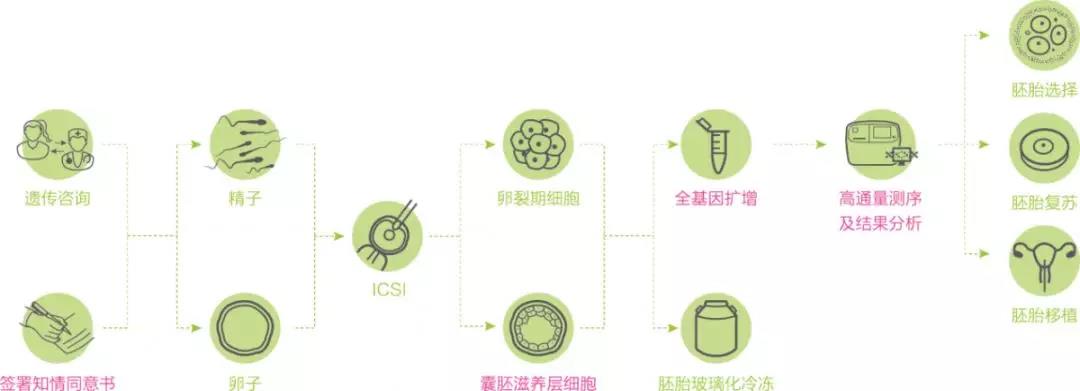为什么第三代供卵试管婴儿是高龄患者的最佳选择？