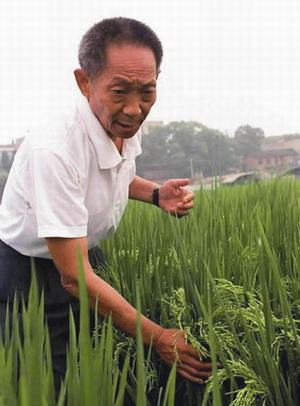 供卵试管婴儿怀孕需要多长时间才能成功？大约多少天可以知道？