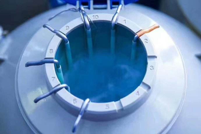 一个看供卵试管婴儿生父在什么情况下不承担法律责任的案例