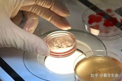 通过供卵做试管婴儿技术怀孕后需要特别注意什么吗？
