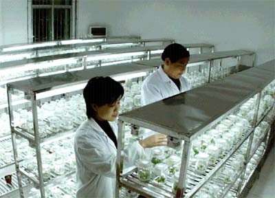 苏州做供卵试管婴儿的医院哪家好？