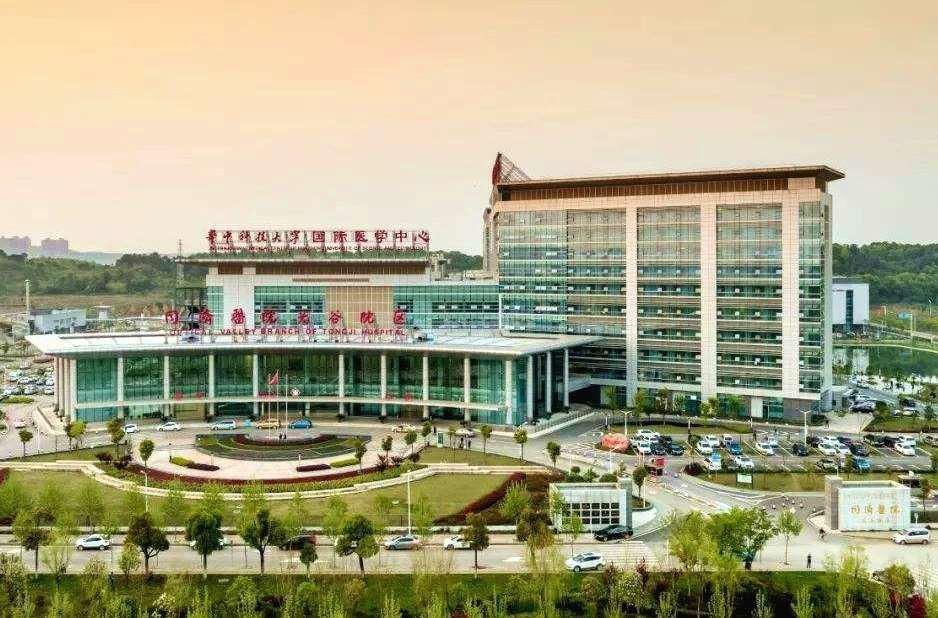 中南大学湘雅医院供卵代生做供卵试管的成功率是多少？费用是多少？