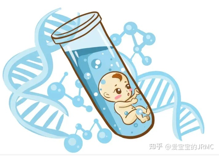 借卵做第三代试管助孕移植后14天的食谱，提高成功率