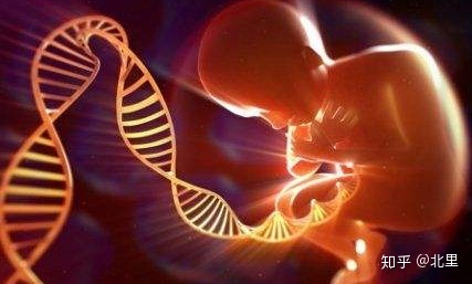 赠卵试管代生价格试管医生对成功率有影响吗？