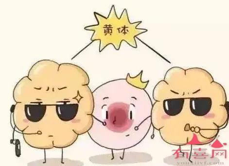 借卵做试管婴儿一次多少钱北京佳恩德运医院靠谱吗？