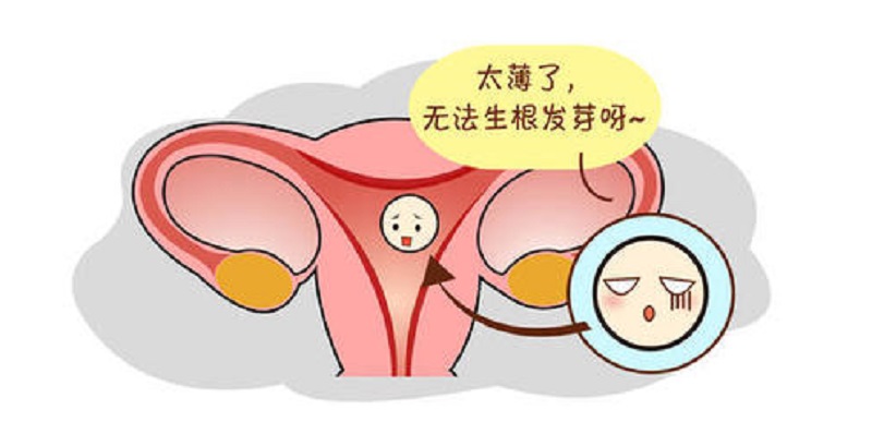 做借卵试管供卵自怀后休息多少天合适