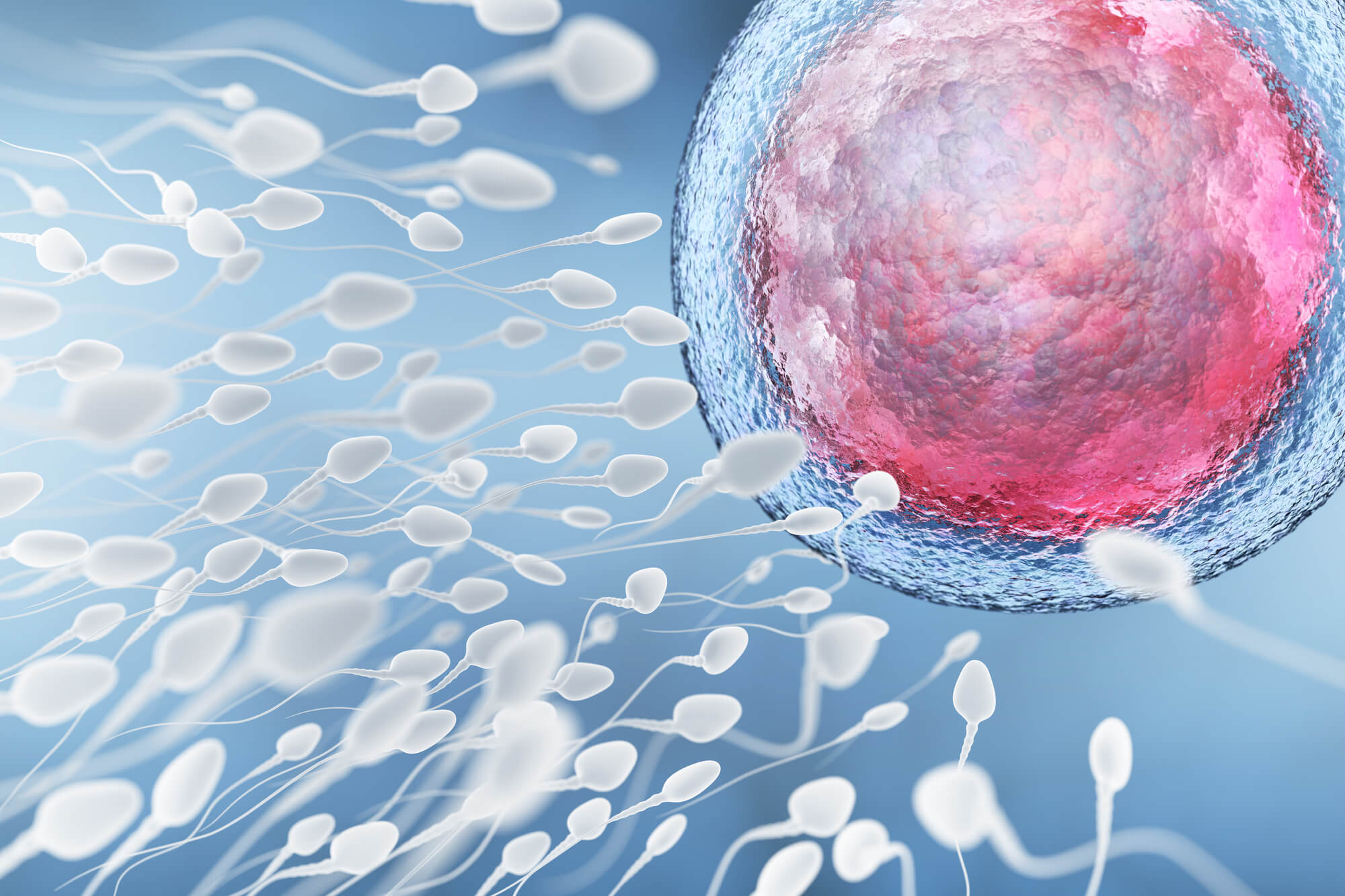 哺乳期千万别辞职,离职生育津贴、失业金、赔偿恐泡汤