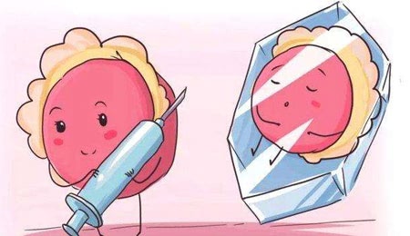 供卵做试管是什么意思？
