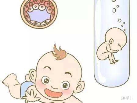 红房子做供卵试管挂什么科