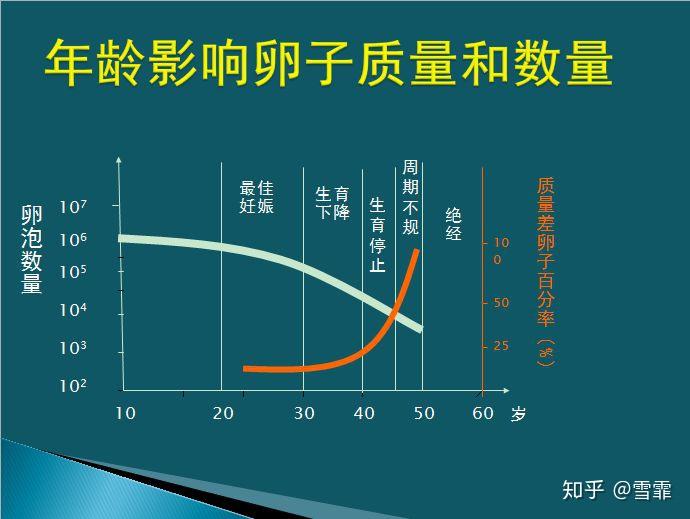第三代供卵试管的流程