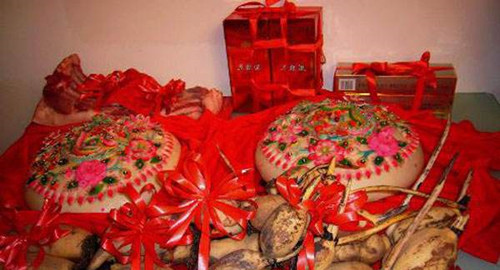 啥情况需要做借卵试管婴儿