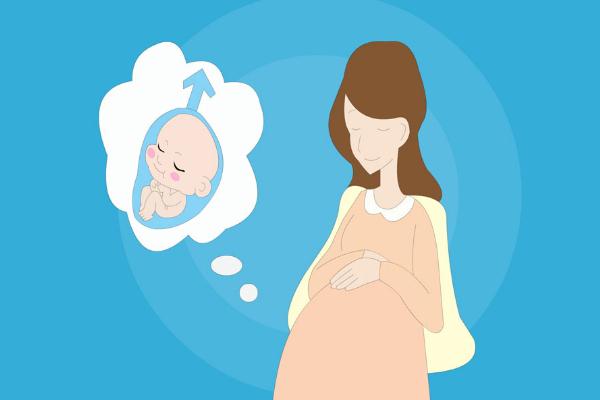 妇幼做借卵试管婴儿怎么样