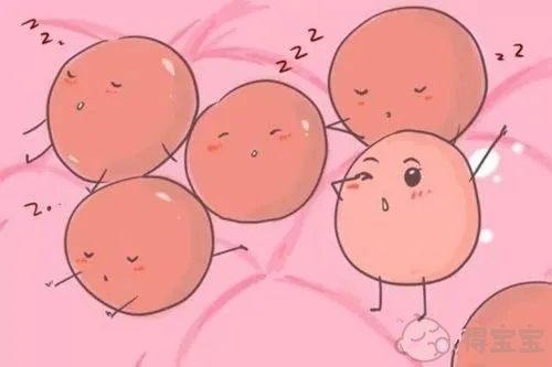 江苏苏州锦江妇幼供卵试管婴儿多少钱