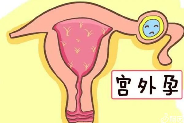 江苏苏州哪个医院供卵试管婴儿的成功率高