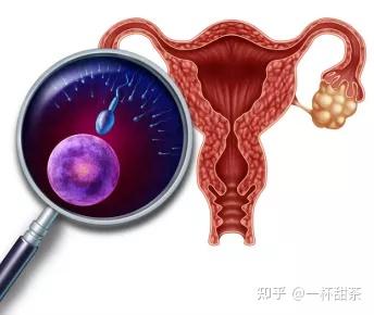 江苏苏州哪里做试管比较好