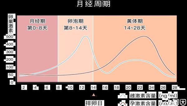 做试管婴儿很遭罪吗