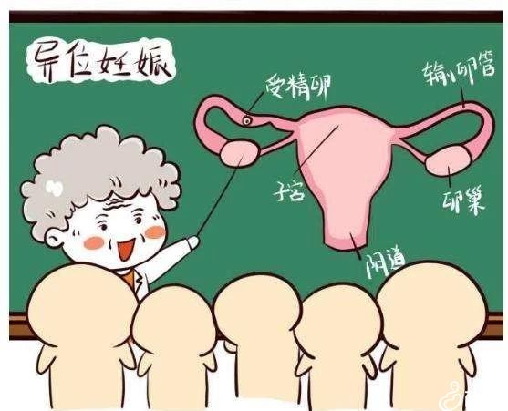 去国外做试管婴儿国内能上户口么