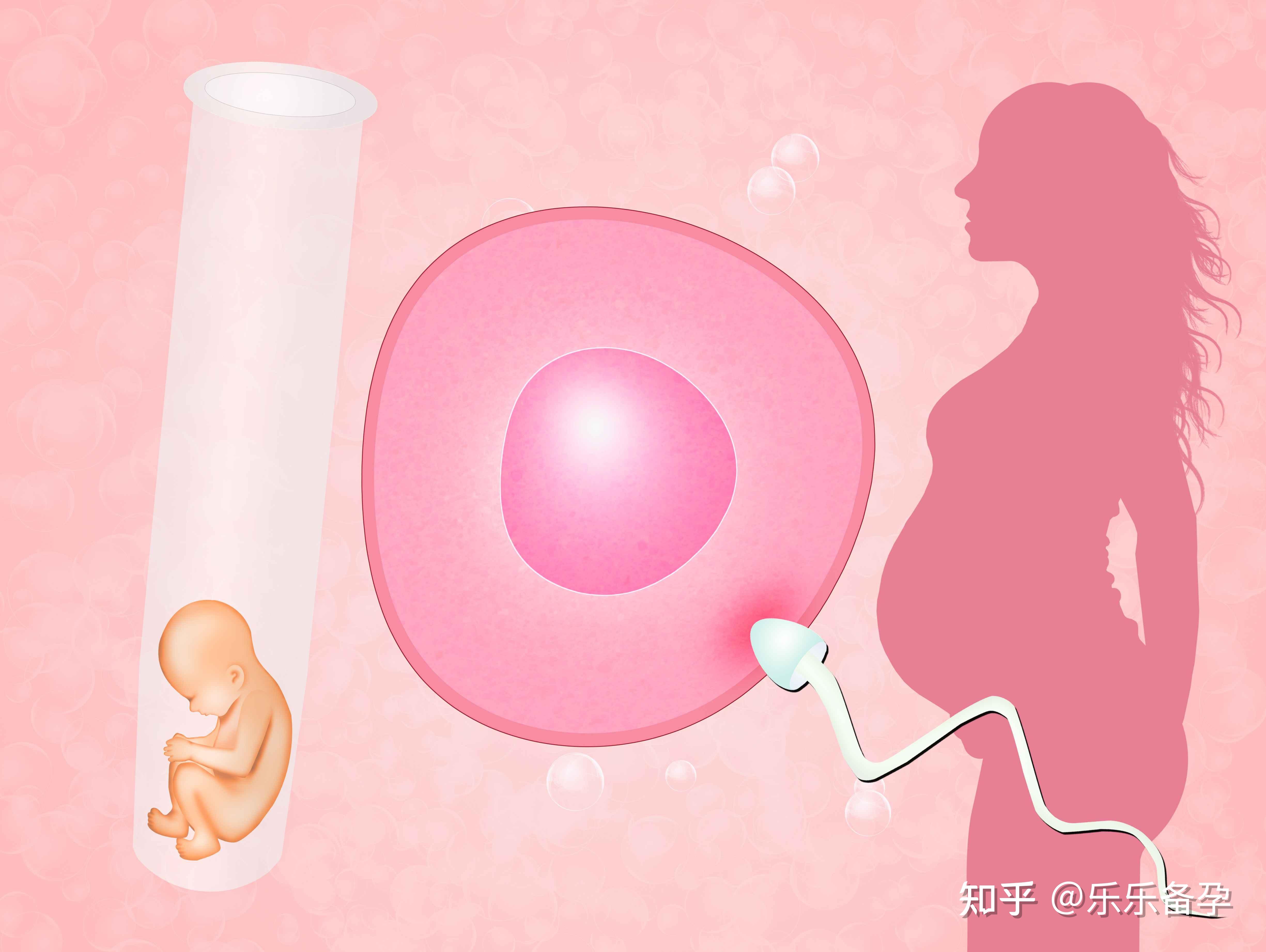 苏州大学齐鲁医院江苏苏州正规试管代怀服务谁做的好？
