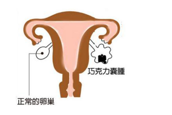 苏州人民医院刘娟代怀哪里不用等(江苏苏州人民医院刘丽芳)