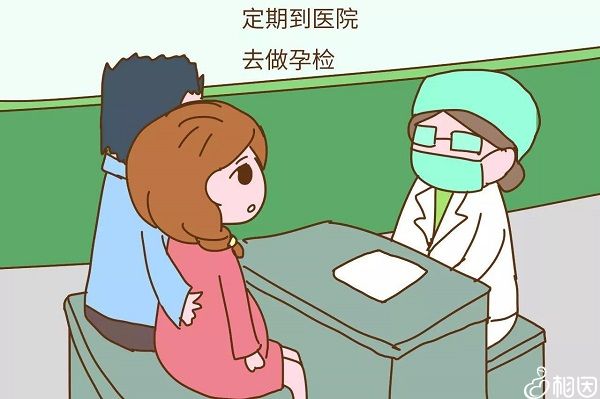 胚胎解冻移植流程及时间安排是怎样的