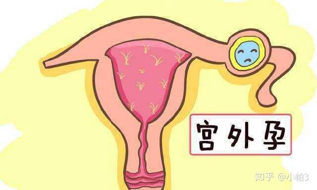 苏州妇幼比人民医院的生育险报销的多吗？