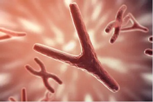 50岁绝经谁说不能怀孕？过来人谈借卵试管成功案例