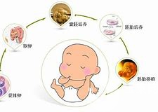 试管精卵不结合情况真不多,结合失败多半是这些因素的锅