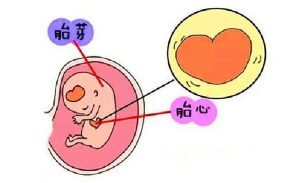 为什么要评估卵子代生男孩中介卵子质量,该如何评估