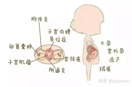 国内想要个男宝代怀多少钱需要多久