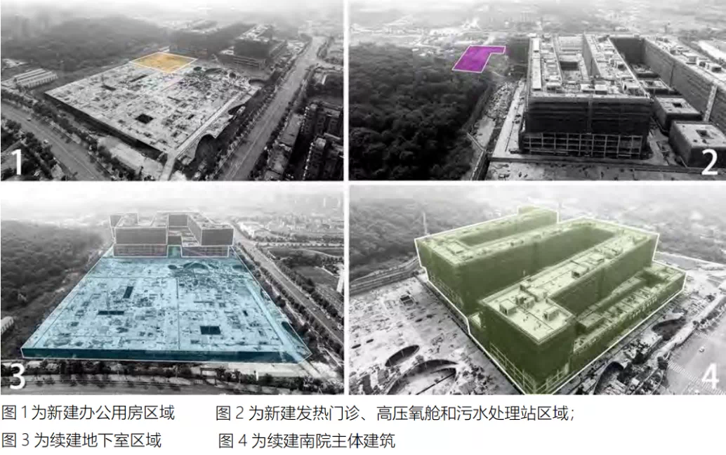 国家卫健委答复为何单身女性不可冻卵,网友-可去国外