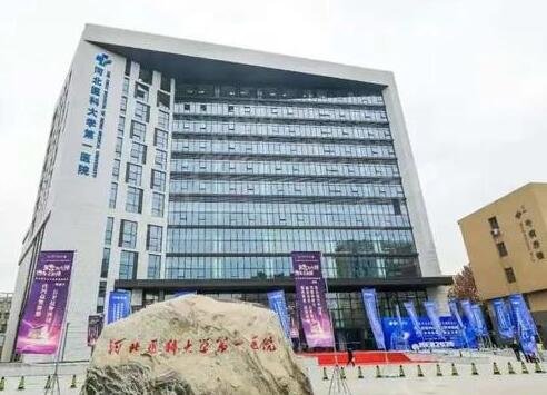 代生价格表哪些情况医生会让你会取消鲜胚移植呢
