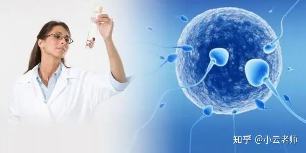 江苏苏州正规供卵机构包生男孩医院技术（苏州仁爱医院第三代试管供卵助孕公司）