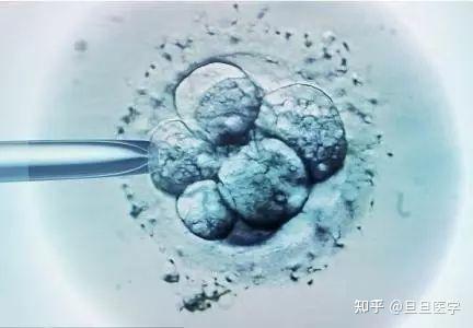 精子少吃什么能补精子